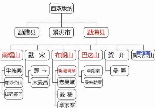 普洱茶税收类目分类标准是什么？详解含义与内容