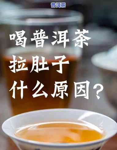 为什么每次喝普洱茶都拉肚子？