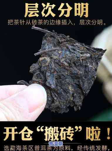 普洱茶散砖饼怎么喝好喝-普洱茶散砖饼怎么喝好喝一点