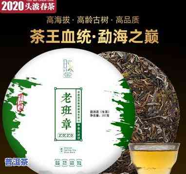 古树茶王老班章-老班章古树茶王价格