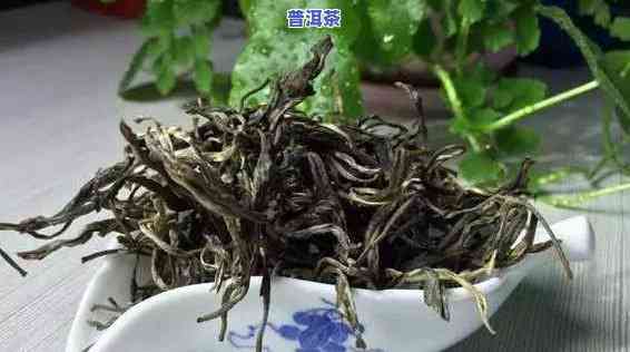 普洱茶野茶价格表和图片大全，最新普洱茶野茶价格表及高清图片大全，一网打尽！