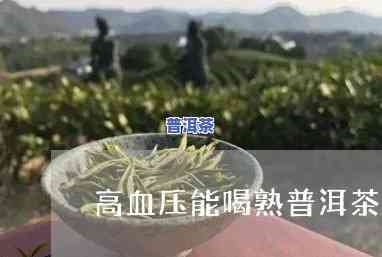 高血压可以喝熟普洱吗，探讨高血压患者是不是适合饮用熟普洱茶？