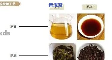 普洱茶泡制流程图片视频大全教程：步骤详解与高清实拍