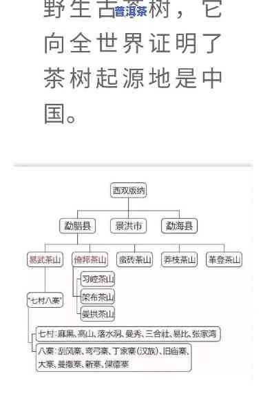 普洱茶各大山头的品种及图片全览