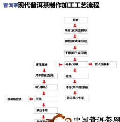 新疆普洱茶加盟流程视频-新疆普洱茶加盟流程视频教程