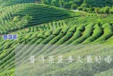 普洱茶蒸多久适合女性饮用？