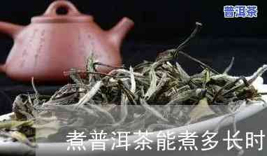 普洱茶蒸多长时间合适呢-普洱茶蒸多长时间合适呢