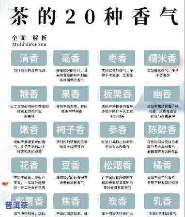 普洱茶有哪些香型的品种？探索不同口感的世界