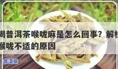 喝熟普洱茶嗓子不舒服，喝熟普洱茶后喉咙不适？可能是因为这些起因！