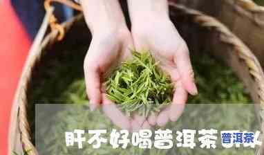 肝不好能喝普洱熟茶吗，肝不好的人能否饮用普洱熟茶？