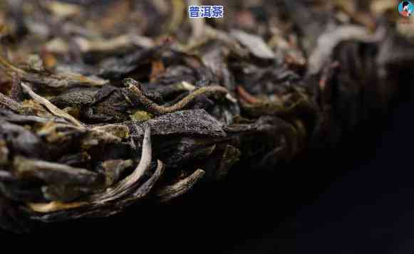 普洱茶为什么有小虫卵呢怎么办，解惑：为何普洱茶会出现小虫卵？怎样解决？