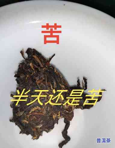 苦的普洱茶是什么山寨，揭秘：苦的普洱茶究竟是哪个山寨所产？