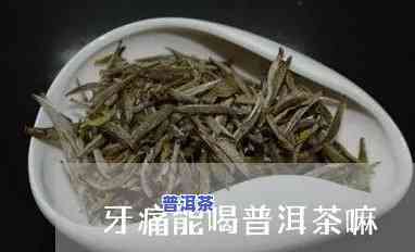 感冒牙疼喝普洱茶可以吗女生，女性感冒牙疼时，能喝普洱茶吗？