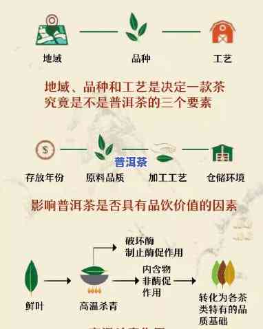 全程揭秘：有机普洱茶制作过程图解视频教程