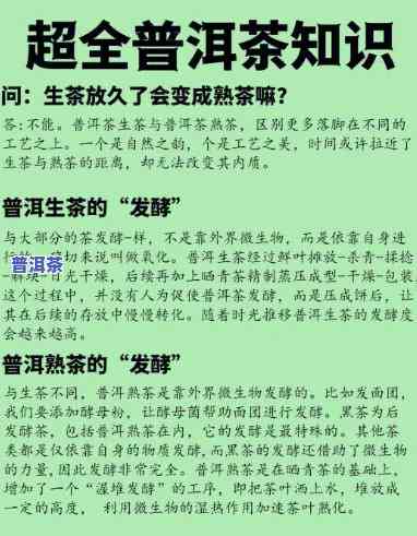 真正的普洱茶爱好者是谁-真正的普洱茶爱好者是谁啊