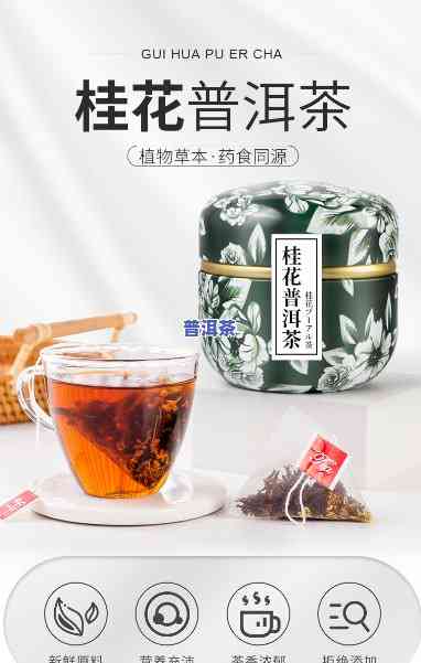 桂花与普洱茶搭配理念，花香与茶韵的完美结合：探索桂花与普洱茶的特别搭配理念