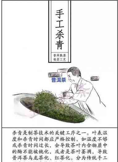 普洱茶1357，探索普洱茶的秘密：一泡好茶的制作期间的1357法则