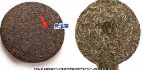 天天普洱茶，健康生活新选择：天天普洱茶，享受醇厚口感与养生功效