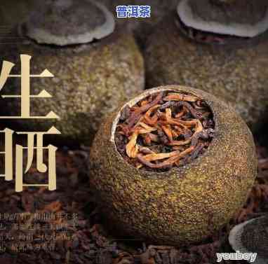 广州陈皮普洱茶保存多久喝，「广州陈皮普洱茶」：一份历经岁月沉淀的珍馐佳茗，值得您长久品味！