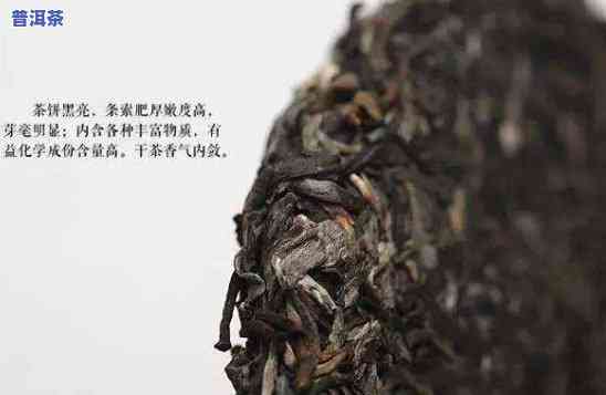 普洱茶陈化更佳温度是多少？详解视频