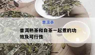 熟普洱和白茶一起泡-熟普洱和白茶一起泡的功效