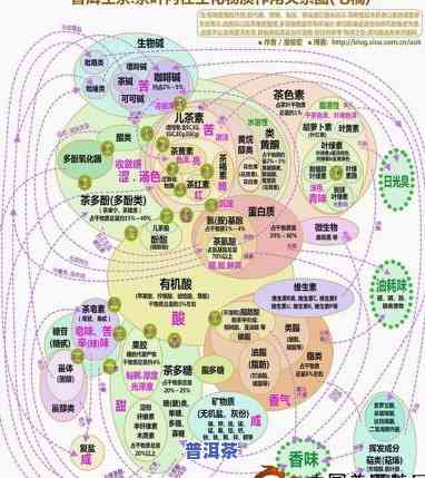 普洱茶的转化机制是什么意思，揭示普洱茶的神奇转化机制