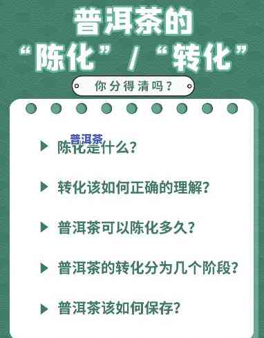 普洱茶的转化机制是什么意思，揭示普洱茶的神奇转化机制