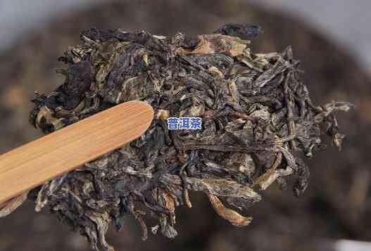 普洱茶的转化机制和方法-普洱茶的转化机制和方法是什么