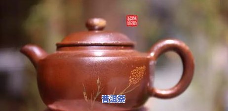 怎样用盖碗泡出好喝的普洱茶？水的量应怎样掌握？