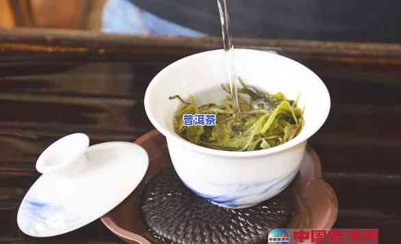 盖碗能泡普洱茶放多少水-盖碗能泡普洱茶放多少水合适