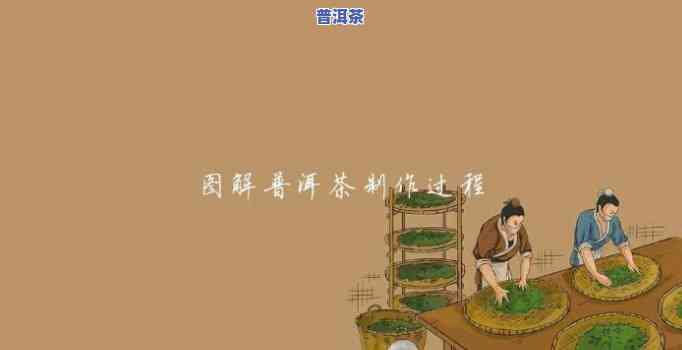 水彩画普洱茶制作过程图-水彩画普洱茶制作过程图片