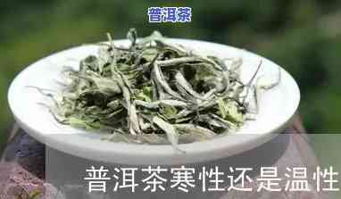 熟普洱性温还是性寒，解惑熟普洱茶的性质：它是温性的还是寒性的？