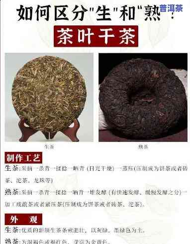 熟普洱性凉还是热性，普洱熟茶：是凉性还是热性？一次全面解析