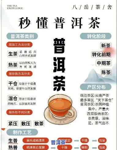 普洱茶的选购常识全解：你不可不知的关键点