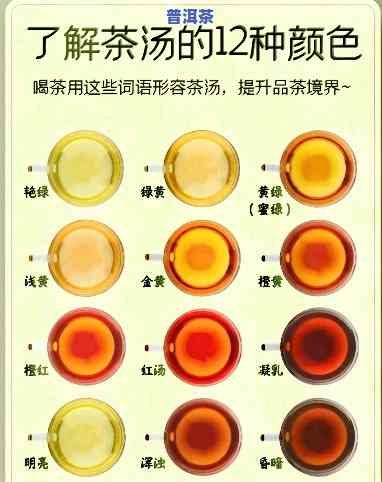 探究老班章茶水、茶汤颜色及其变化