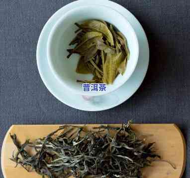 普洱茶新茶没味道淡淡的-普洱茶新茶没味道淡淡的正常吗