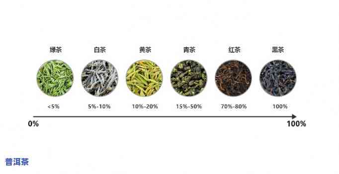 瑞吉普洱茶是什么茶类的茶叶，揭秘瑞吉普洱茶：属于哪一类别的茶叶？