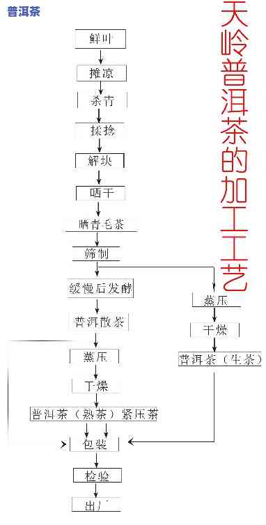半生熟普洱茶的制作工艺，探秘半生熟普洱茶的精致制作工艺