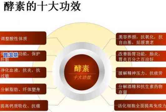 普洱茶酵素的功效：揭示其作用与好处