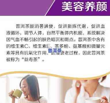 普洱茶酵素的功效：揭示其作用与好处