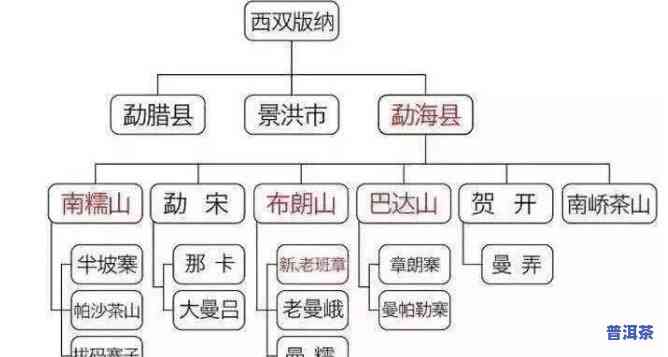 真正的普洱产自哪里？探寻普洱茶的产地与制作工艺