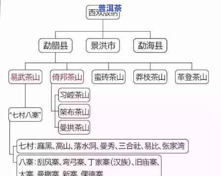 真正的普洱产自哪里的茶，探寻真正普洱茶的产地，揭秘其特别魅力