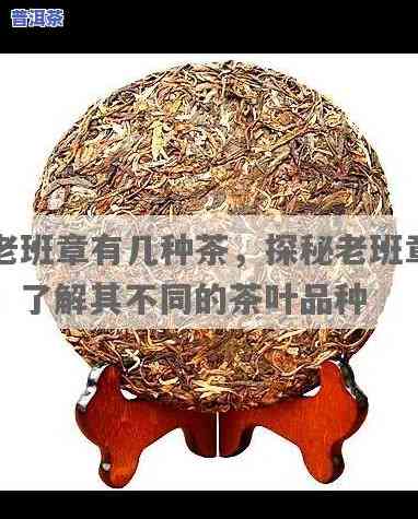 老班章茶是什么意思，解密老班章茶：一探这个备受瞩目的茶叶品种的含义和魅力