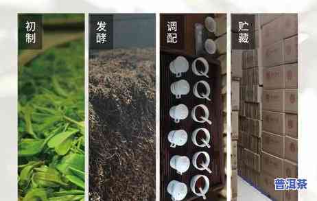 熟普洱茶散茶：好还是饼？年份哪个更佳？