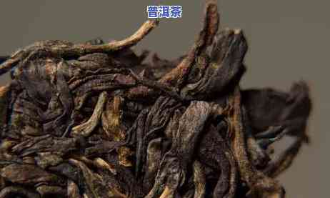 熟普洱茶散茶：好还是饼？年份哪个更佳？