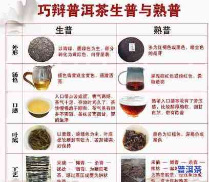 普洱茶分级价格图片大全-普洱茶分级价格图片大