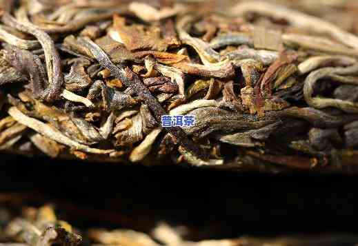 普洱茶的口感：从生到熟，你熟悉吗？