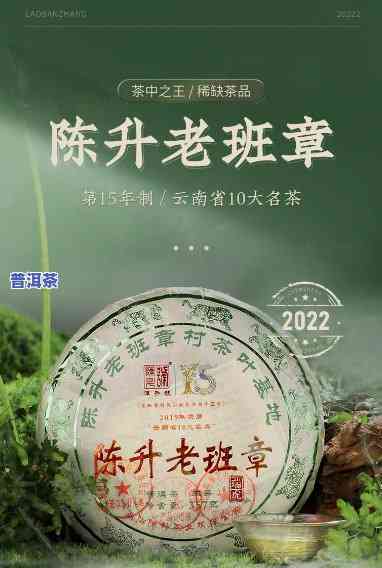 2020陈升号老班章价格：125克与200克的区别