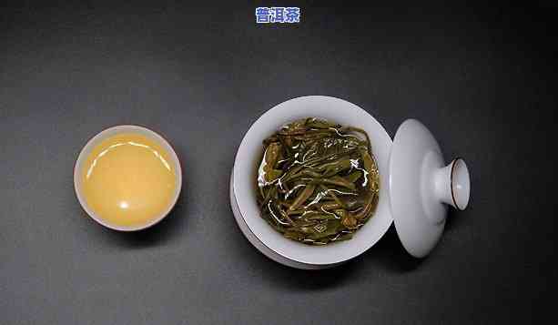 新手入门的普洱茶怎么选-新手入门的普洱茶怎么选购