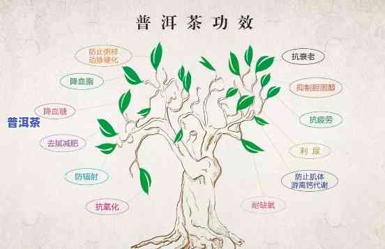 普洱茶发明人，揭秘普洱茶的起源：谁是普洱茶的发明人？